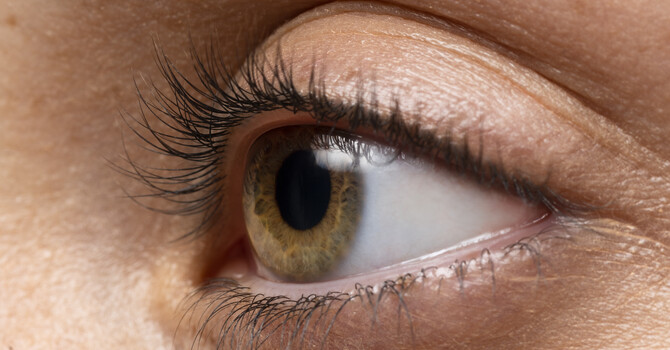 Thermal Expression Session